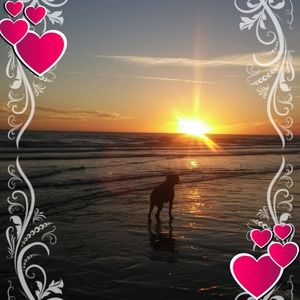 Meet your Posher, Darla